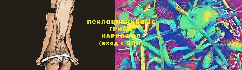 гидра ссылка  Краснослободск  сайты даркнета какой сайт  Псилоцибиновые грибы прущие грибы 